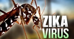 ბრაზილიის ჯანდაცვის სამინისტრო ზიკა ვირუსის წინააღმდეგ ვაქცინის შესაქმნელად 5 წლის განმავლობაში 1.9 მილიონ დოლარს დახარჯავს.
