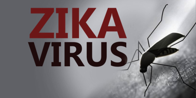 2007 წლის 1 იანვრიდან 2016 წლის 5 აპრილის ჩათვლით, ზიკა ვირუსის გადაცემა ოფიციალურად დაფიქსირებულია მსოფლიოს 62 ქვეყანასა და ტერიტორიაზე.